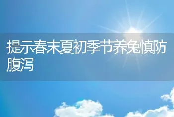 提示春末夏初季节养兔慎防腹泻