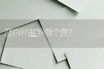 蓝白和暹罗哪个贵？