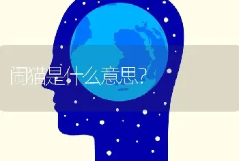 特派大头是不是就是虎斑？