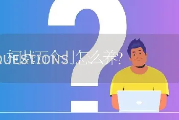 柯基五个月怎么养？