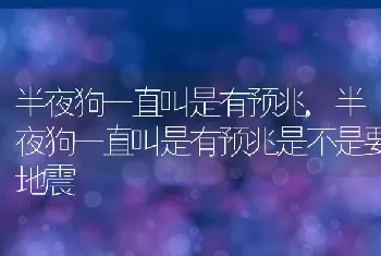 半夜狗一直叫是有预兆，半夜狗一直叫是有预兆是不是要地震