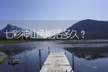 七彩神仙鱼能活多久？