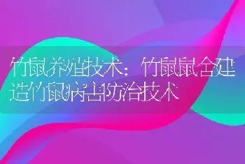 竹鼠养殖技术：竹鼠鼠舍建造竹鼠病害防治技术