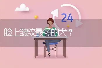 脸上皱纹最多的犬？