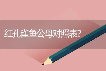 红孔雀鱼公母对照表？