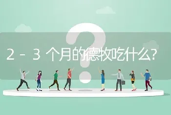 2-3个月的德牧吃什么？