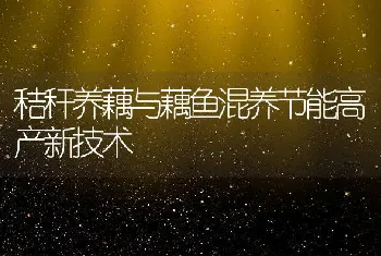 秸秆养藕与藕鱼混养节能高产新技术