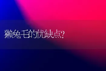 獭兔毛的优缺点？