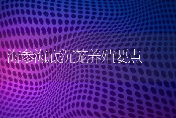 海参海底沉笼养殖要点