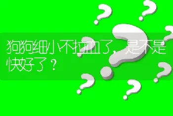 狗狗细小不拉血了，是不是快好了？