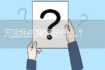 元宝鱼的寓意是什么？