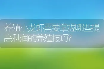 养殖小龙虾需要掌握哪些提高利润的养殖技巧？