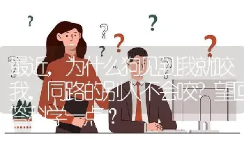 最近，为什么狗见到我就咬我，同路的别人不会咬?望回答科学一点？