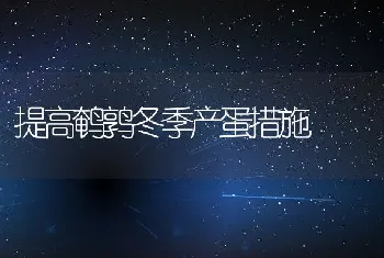 提高鹌鹑冬季产蛋措施