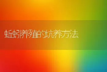 蚯蚓养殖的坑养方法