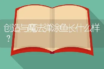 创造与魔法弹涂鱼长什么样？