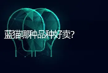 想养一只加菲猫，掉线是不是不好啦？