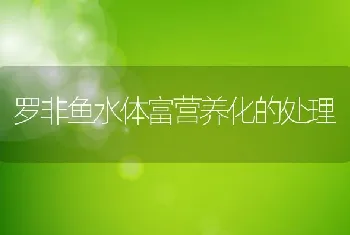 罗非鱼水体富营养化的处理