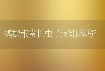 鹦鹉粮食长虫了还能喂吗？