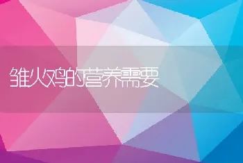 雏火鸡的营养需要