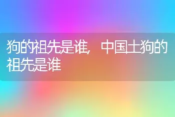 狗的祖先是谁，中国土狗的祖先是谁