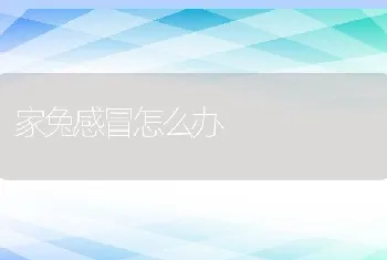 鹌鹑养殖关键技术之疾病防治