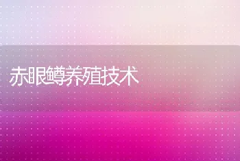 虹鳟网箱养殖中应注意的几项技术要点