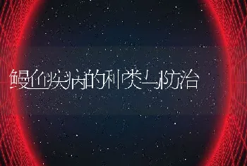 鳗鱼疾病的种类与防治