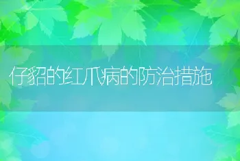 仔貂的红爪病的防治措施