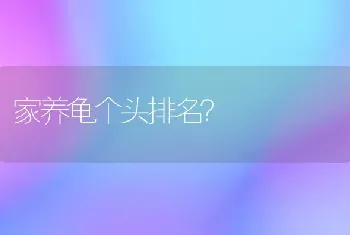 家养龟个头排名？