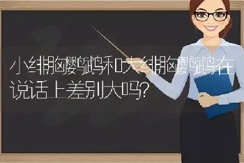 小绯胸鹦鹉和大绯胸鹦鹉在说话上差别大吗？