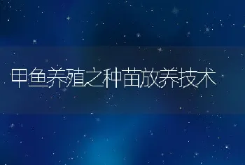 甲鱼养殖之种苗放养技术