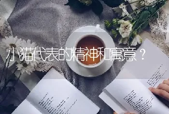 小猫代表的精神和寓意？