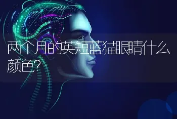 狗狗生完两天了,第三天又生个死胎,狗妈没有危险吧？