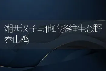 湘西汉子与他的多维生态野养山鸡