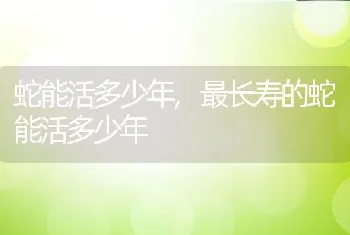 被猫抓伤了怎么处理，被猫抓伤后怎么判断感没感染