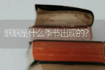 蝈蝈是什么季节出现的？