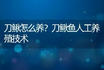 刀鳅怎么养？刀鳅鱼人工养殖技术