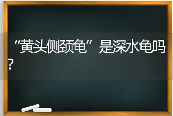 “黄头侧颈龟”是深水龟吗？