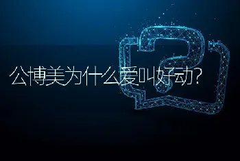 公博美为什么爱叫好动？