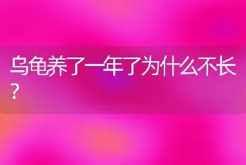 乌龟养了一年了为什么不长？