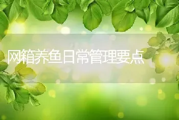 网箱养鱼日常管理要点