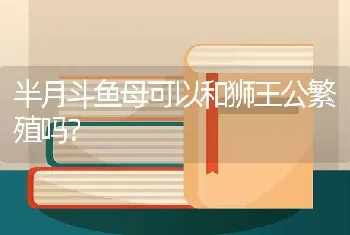 半月斗鱼母可以和狮王公繁殖吗？