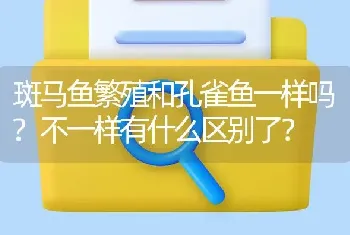 斑马鱼繁殖和孔雀鱼一样吗？不一样有什么区别了？