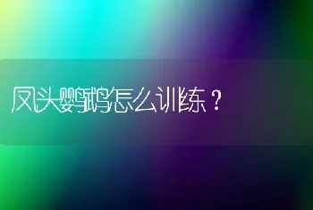 为什么好多猫的爪子都是白色的？