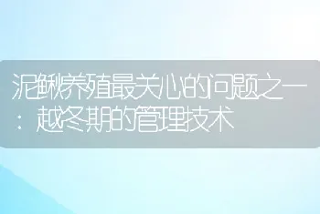 泥鳅养殖最关心的问题之一：越冬期的管理技术