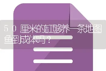 50厘米的缸够养一条地图鱼到成体吗？