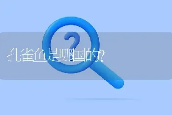 孔雀鱼是哪国的？