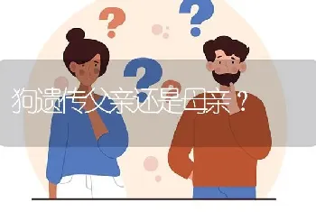 狗遗传父亲还是母亲？