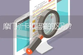 摩门斯卡和蓝魔的区别？